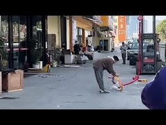 Let's cheer together in the new year